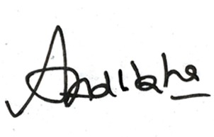 Signature of Ajay Adlakha